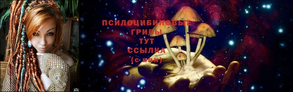 стаф Баксан