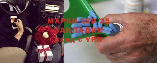 стаф Баксан