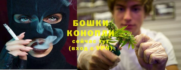 шишки Армянск