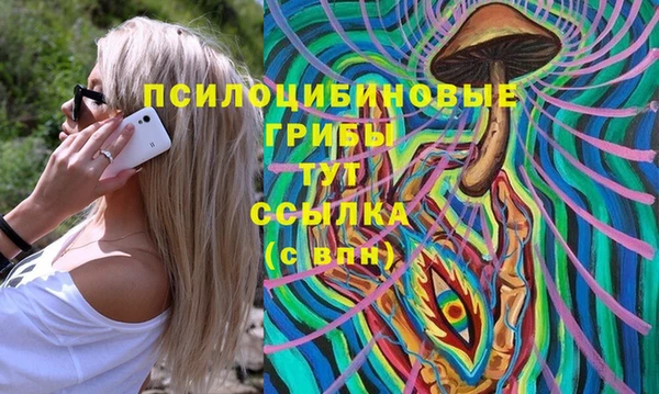 стаф Баксан