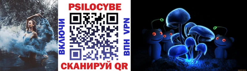 даркнет наркотические препараты  Сосновый Бор  Галлюциногенные грибы прущие грибы 